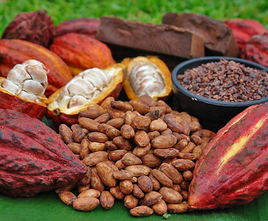 Distinguishing Today’s Cocoa Varieties – Grevista cocoa