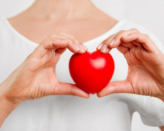 Cocoa Helps Reduce the Risk of Heart Attack – Golden Benefits for a Healthy Heart